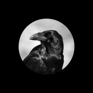 日本日本乱码伦视频在线播放
