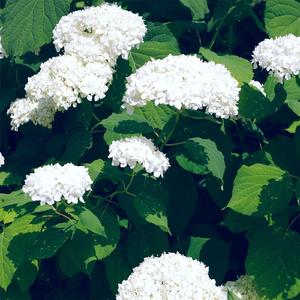 日本日本乱码伦视频在线播放
